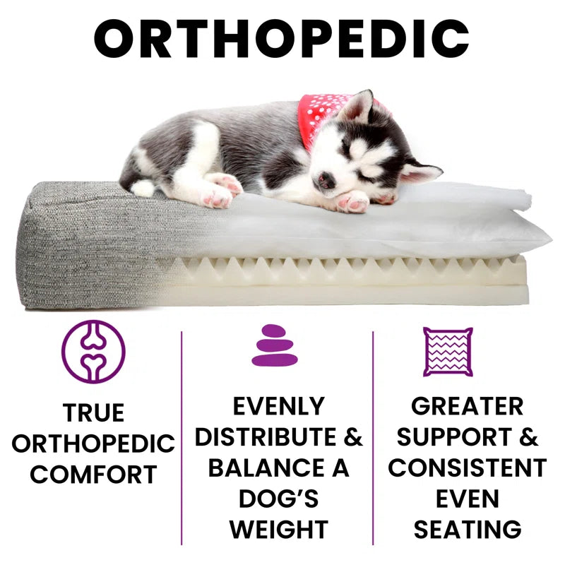 Orthopedic Polyester Pet Bed
