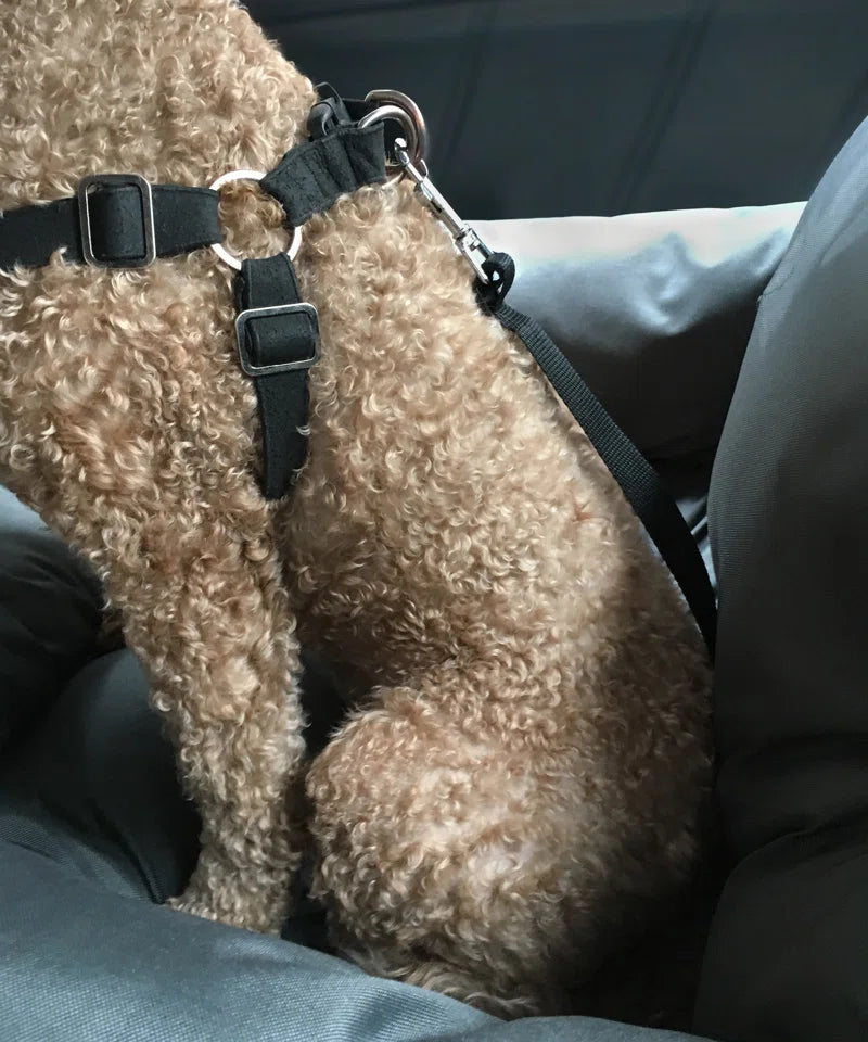 Sheard Seat Belt Compatible Travel Pet Bed